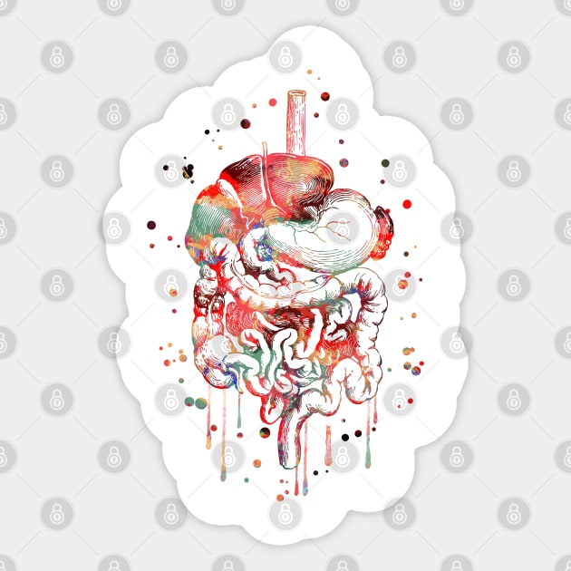 Digestive system Sticker by RosaliArt